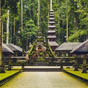 Monkey Forest Ubud, Menyaksikan Keunikan Kehidupan Primata dan Keindahan Alam di Bali